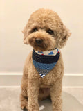 Pet bandana (S)